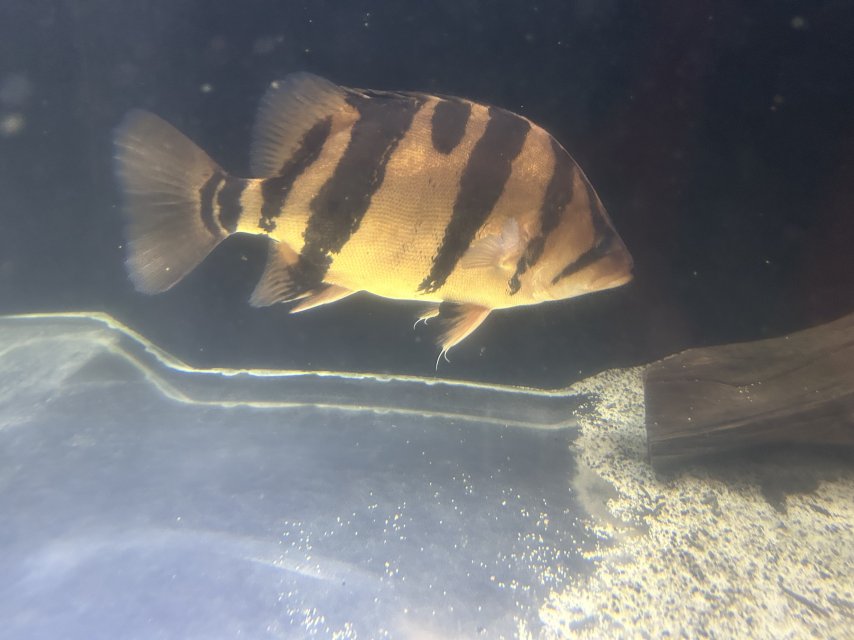 IMG_0489.jpeg IMG_0489.jpeg