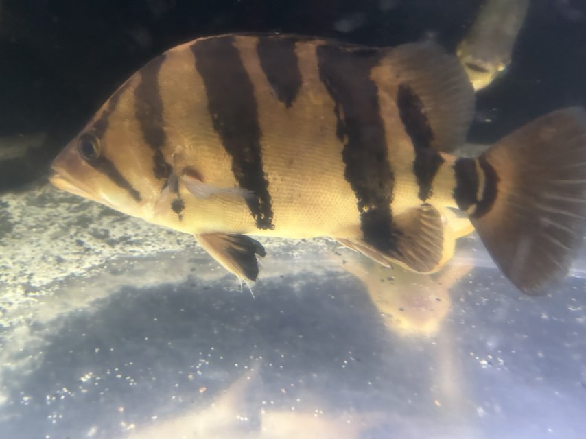 IMG_0490.jpeg IMG_0490.jpeg