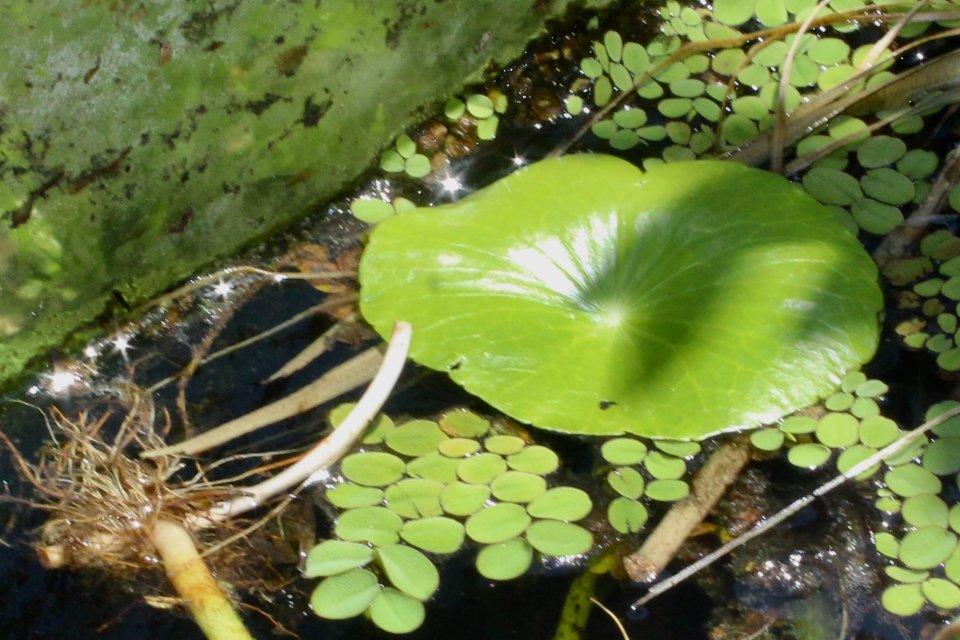 IMG_3211.jpeg
