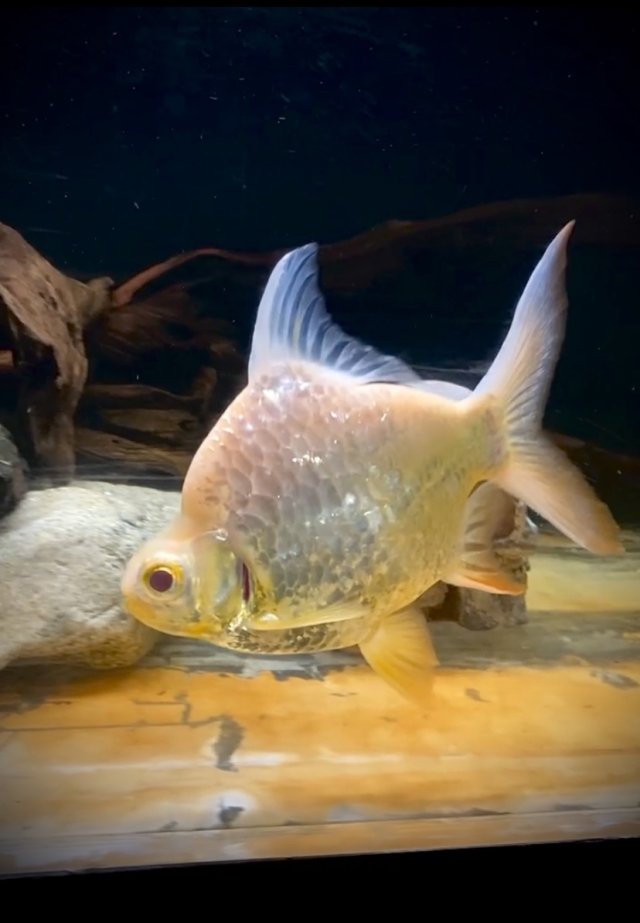 IMG_6420.jpeg IMG_6420.jpeg