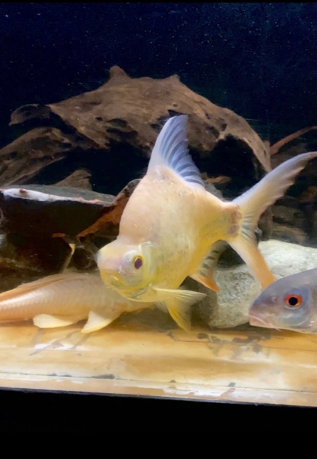 IMG_6418.jpeg IMG_6418.jpeg