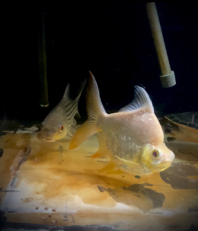 IMG_6424.jpeg IMG_6424.jpeg