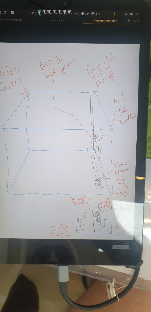 Idea 1.jpg