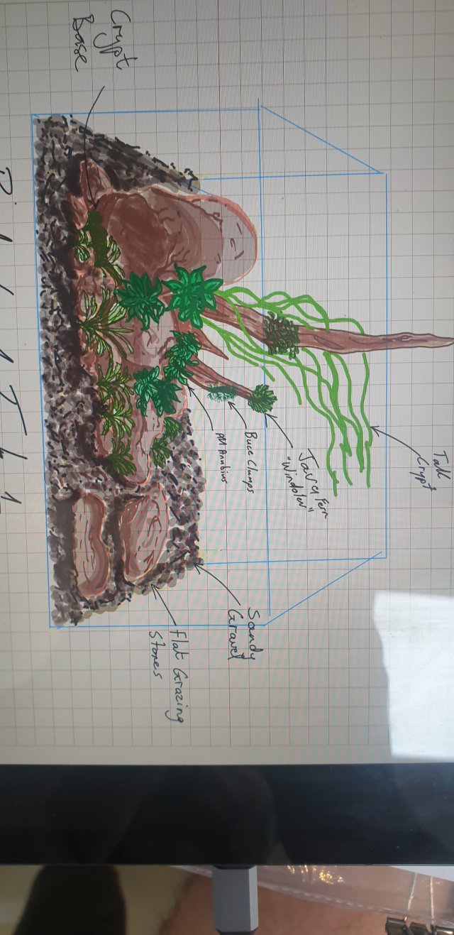 Virt 2.jpg
