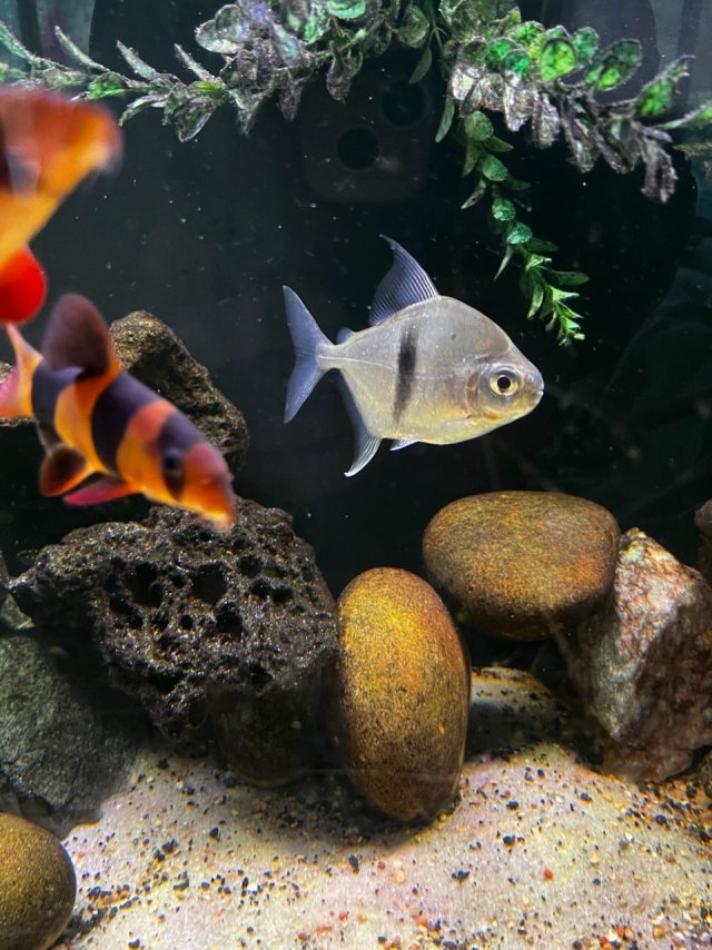 IMG_5488.jpg IMG_5488.jpg