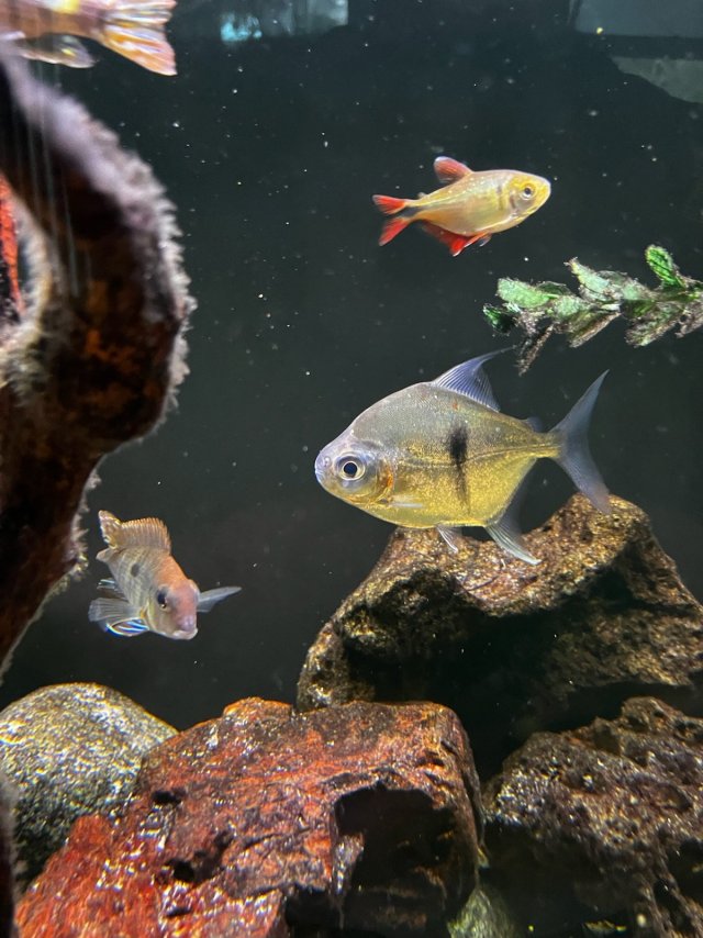 IMG_5492.jpg IMG_5492.jpg