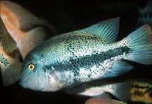 1744995549682.png 1744995549682.png