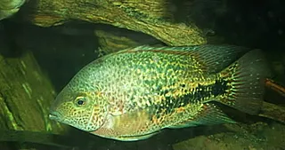 1744995650599.png 1744995650599.png