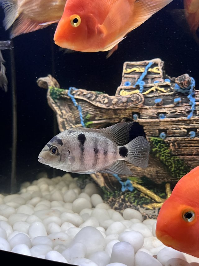 IMG_7492.jpeg IMG_7492.jpeg