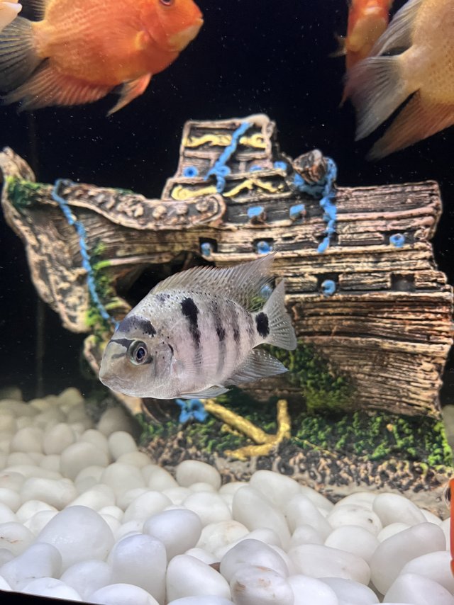 IMG_7491.jpeg IMG_7491.jpeg