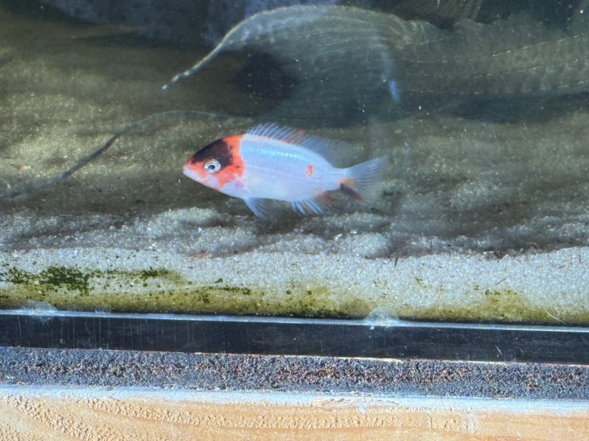 IMG_6279.jpeg IMG_6279.jpeg