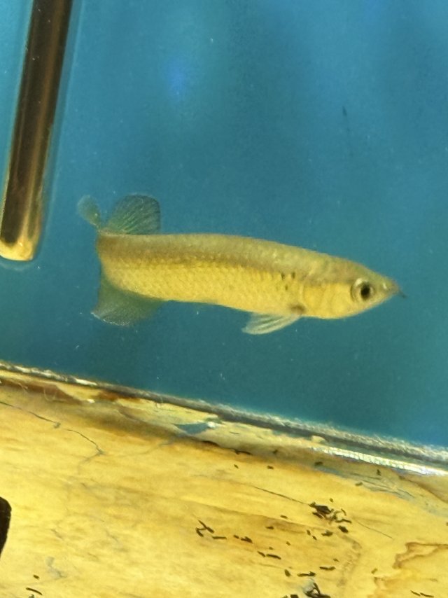 IMG_8337.jpeg IMG_8337.jpeg