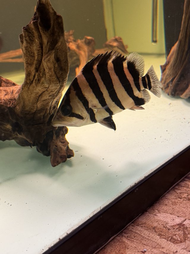 IMG_8256.jpeg IMG_8256.jpeg