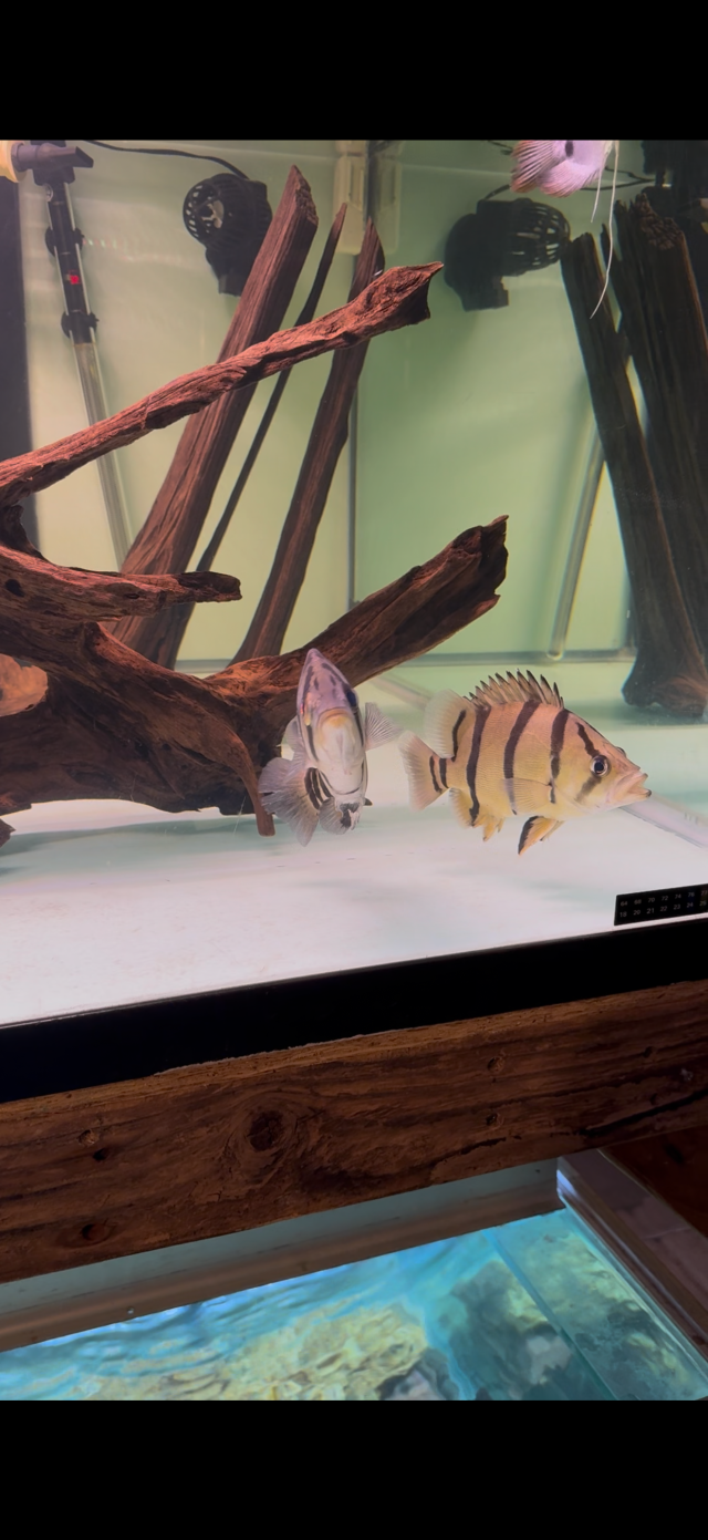 IMG_8160.png IMG_8160.png