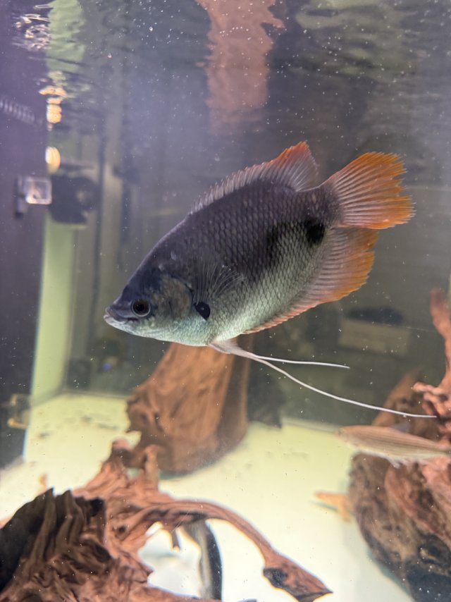 IMG_8317.jpeg IMG_8317.jpeg