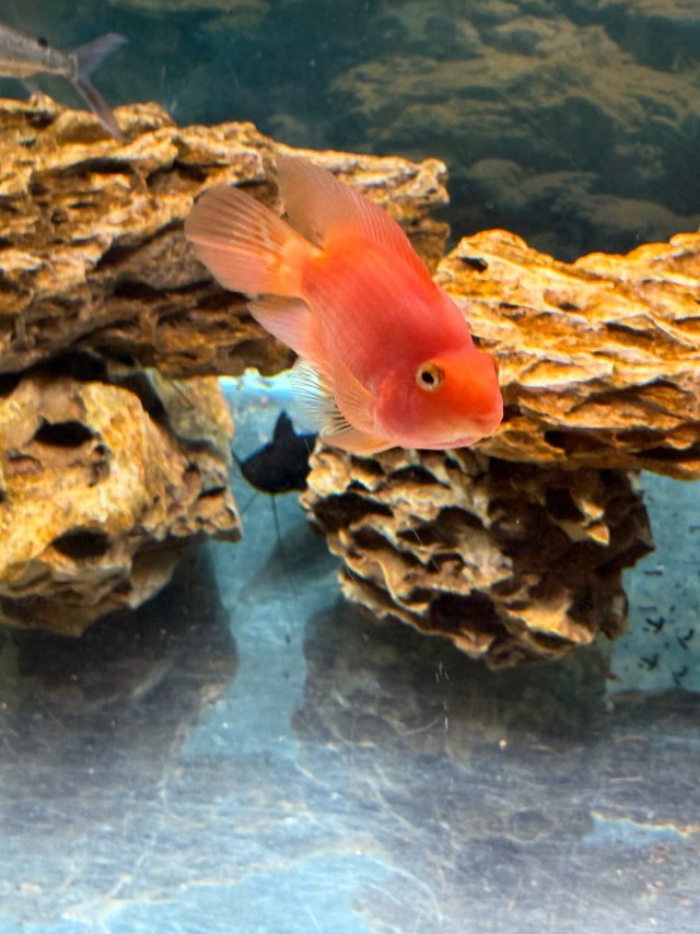 IMG_8347.jpeg IMG_8347.jpeg