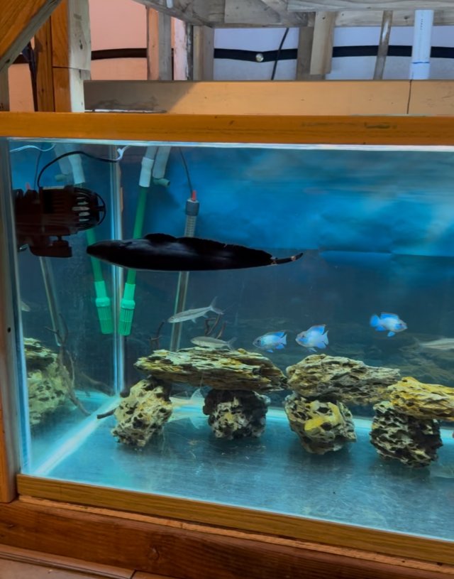 IMG_8363.jpeg IMG_8363.jpeg