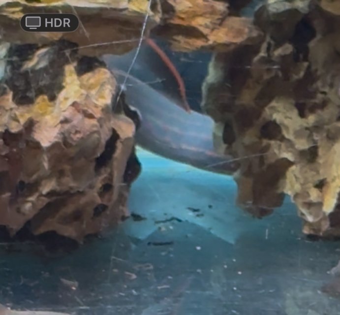 IMG_8364.jpeg IMG_8364.jpeg