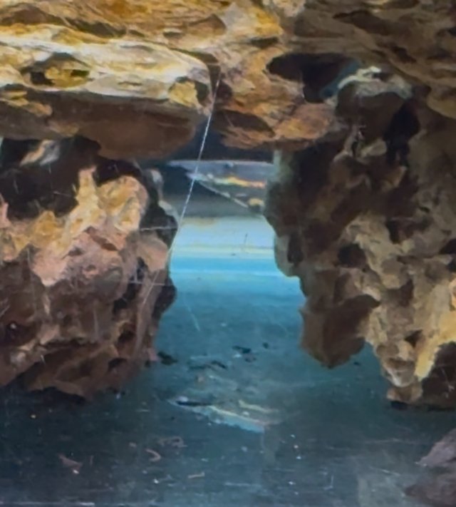 IMG_8365.jpeg IMG_8365.jpeg