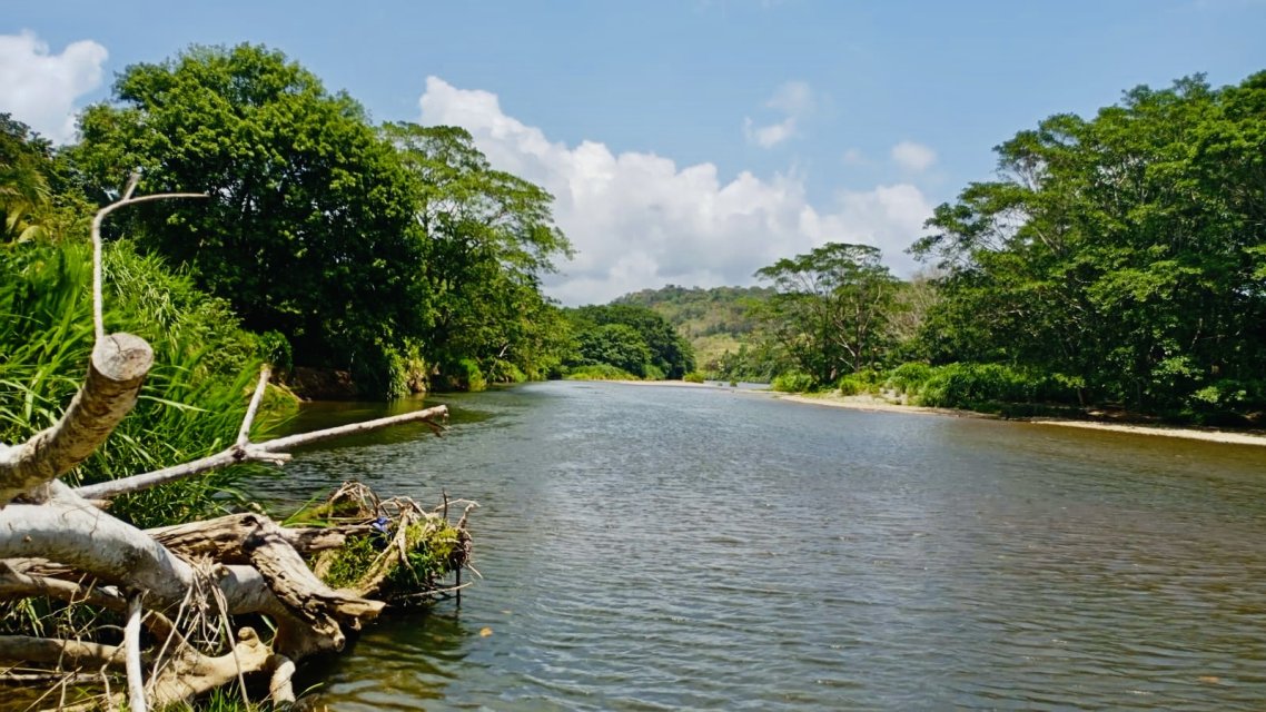 2c9410df-929a-4d7c-afea-45704ff07ee3.jpeg 2c9410df-929a-4d7c-afea-45704ff07ee3.jpeg