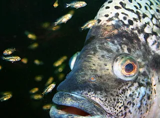 1745352552602.png 1745352552602.png