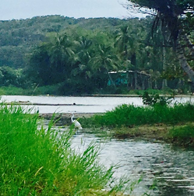 IMG_0488.jpeg IMG_0488.jpeg