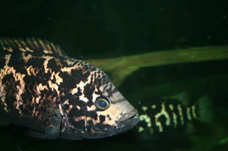 1745363203199.png 1745363203199.png