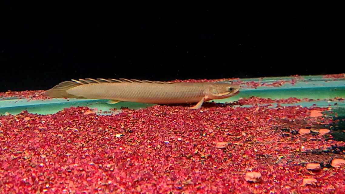 20250423_163939.jpg