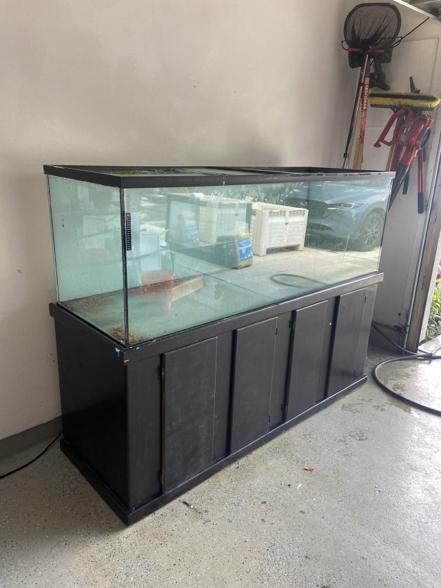 IMG_1749.jpeg IMG_1749.jpeg