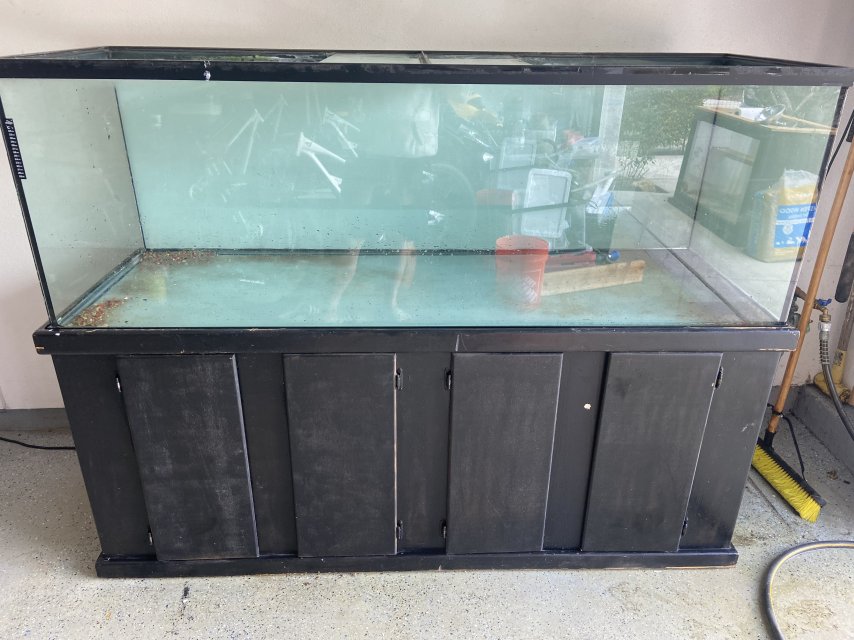 IMG_1750.jpeg IMG_1750.jpeg