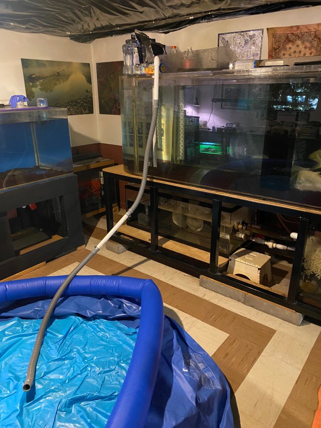 03C98524-51CD-4604-AE09-092E1FADDB25.jpeg