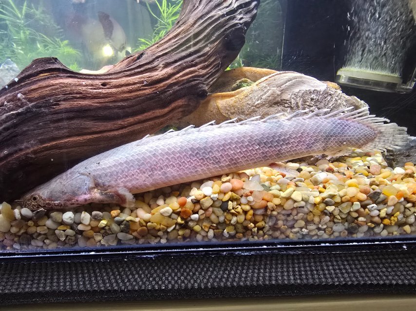 1000015877.jpg 1000015877.jpg