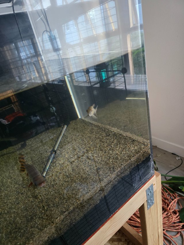 1000001119.jpg 1000001119.jpg