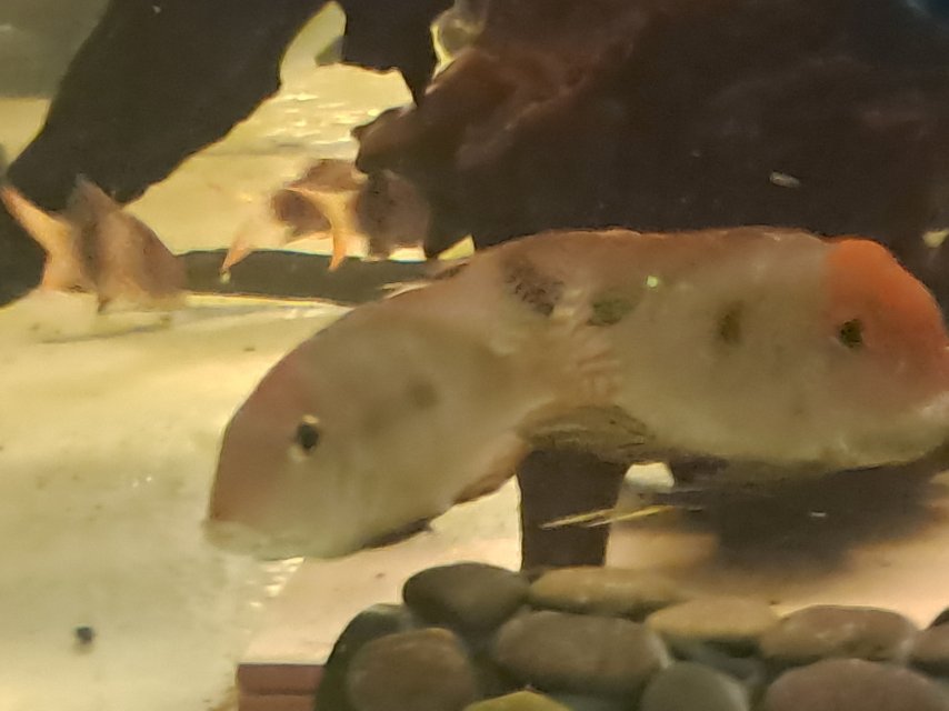 1000001771.jpg 1000001771.jpg