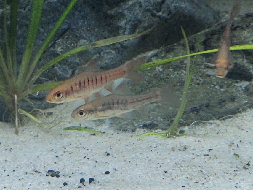20250510_232114.jpg