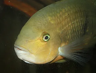 1746984812218.png 1746984812218.png