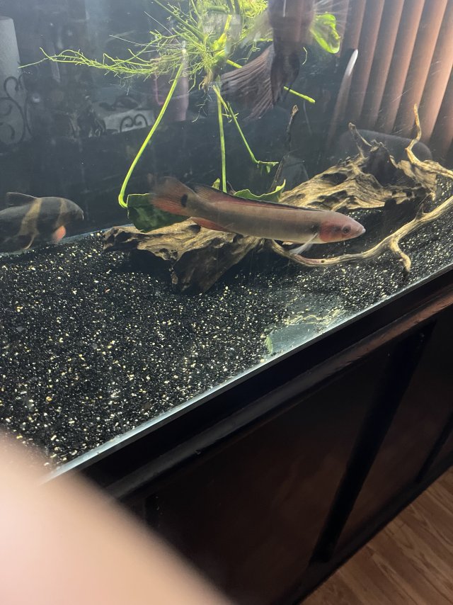 IMG_5584.jpeg IMG_5584.jpeg