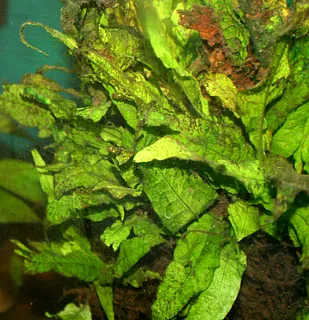 1747565164727.png 1747565164727.png