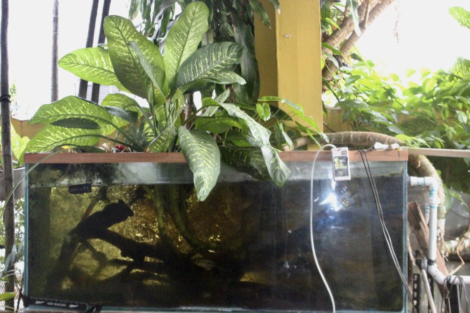 IMG_3571.jpeg IMG_3571.jpeg