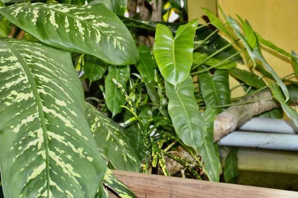 IMG_3580.jpeg IMG_3580.jpeg