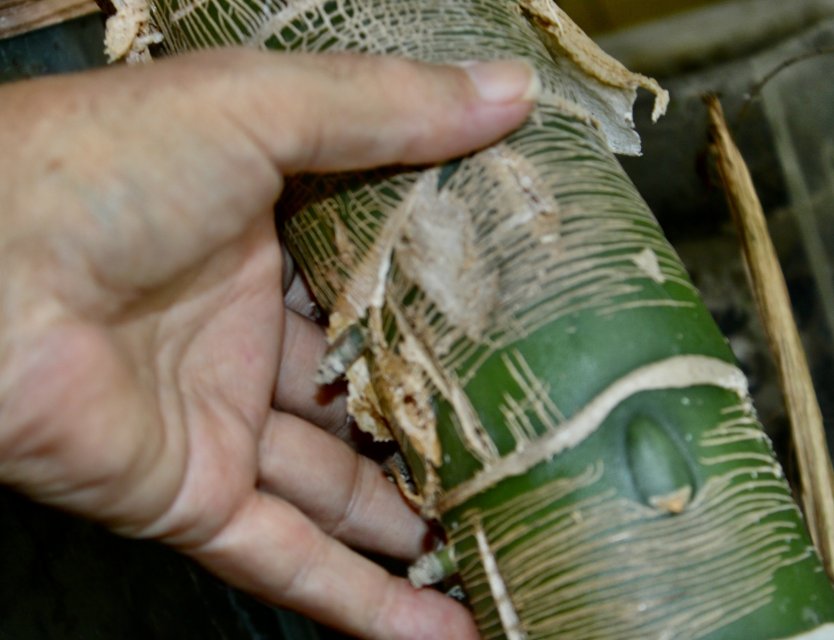 IMG_1362.jpeg IMG_1362.jpeg