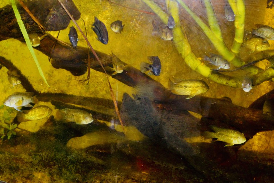 IMG_8969.jpeg IMG_8969.jpeg