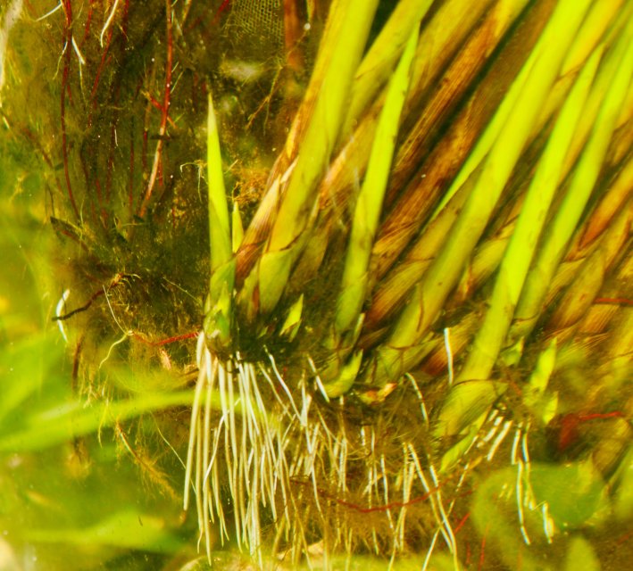 IMG_8636.jpeg IMG_8636.jpeg