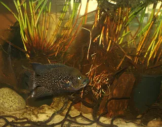 1747589757568.png 1747589757568.png