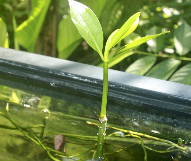 IMG_4161.jpeg IMG_4161.jpeg