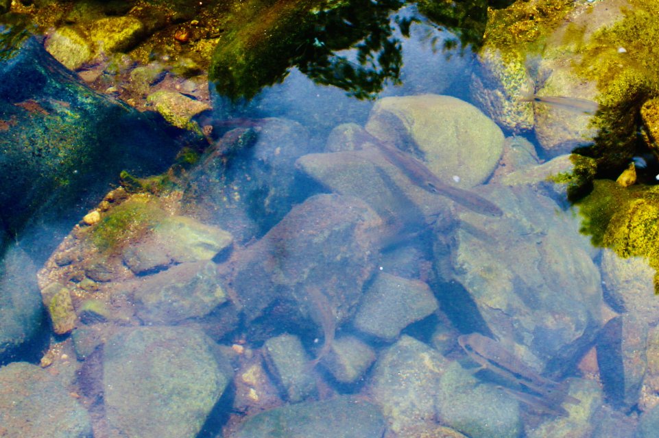 IMG_3306.jpeg IMG_3306.jpeg