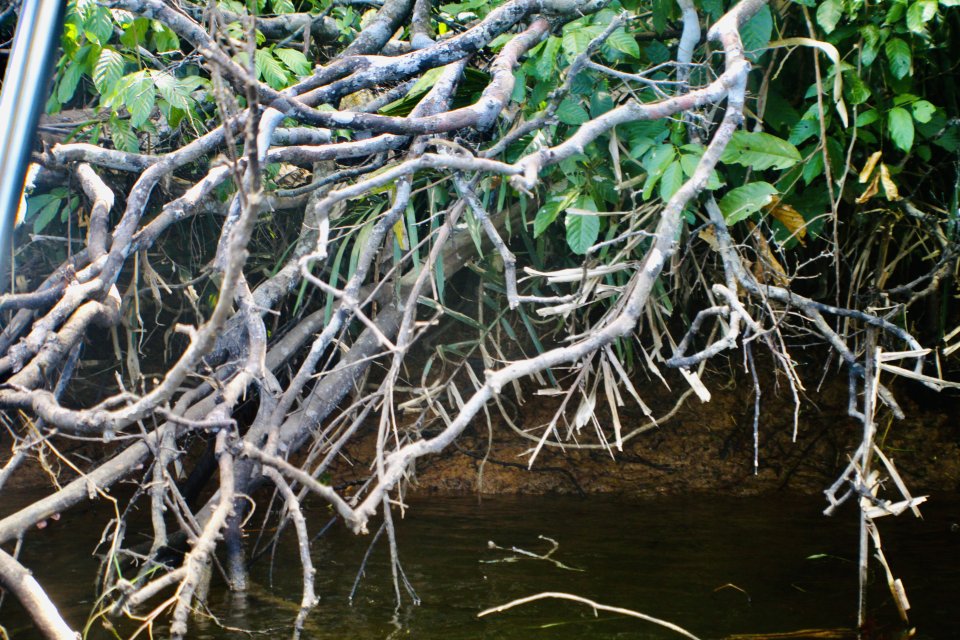 IMG_1957.jpeg IMG_1957.jpeg