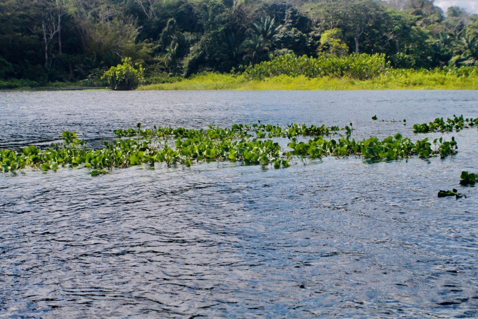 IMG_1948.jpeg IMG_1948.jpeg