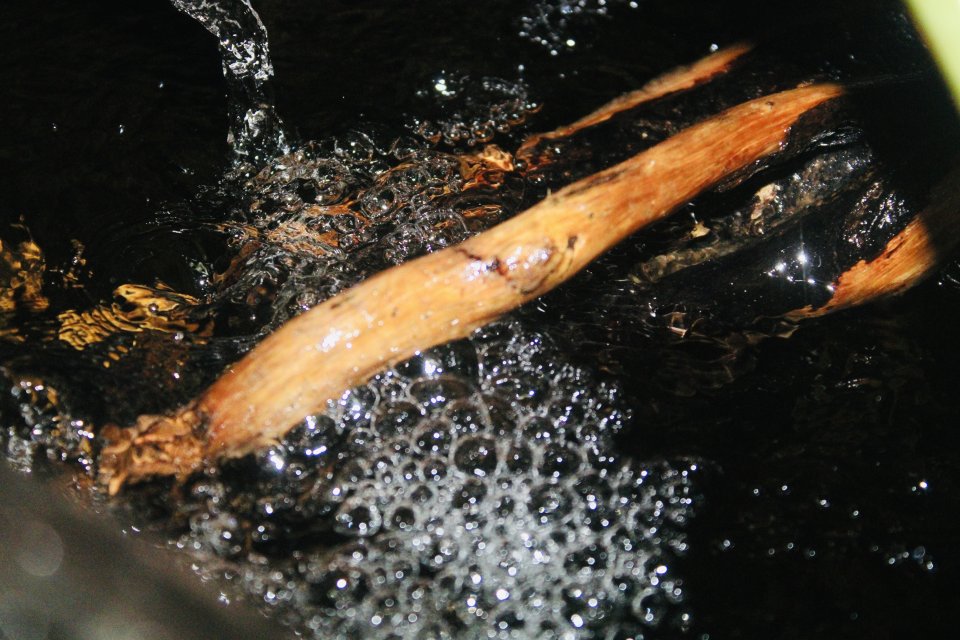 IMG_3700.jpeg IMG_3700.jpeg