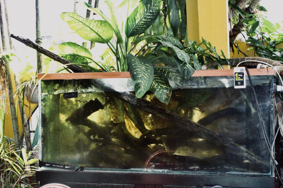 IMG_3590.jpeg IMG_3590.jpeg